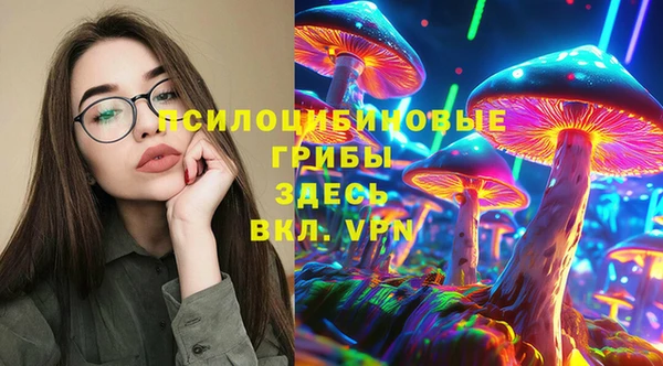 мдпв Алзамай