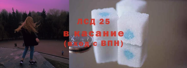 прущие грибы Алексеевка