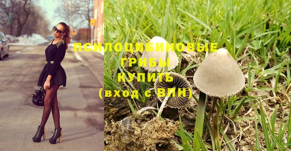 прущая мука Арсеньев