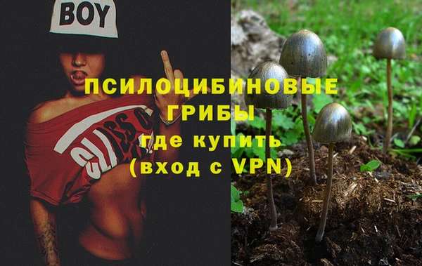 прущие грибы Алексеевка