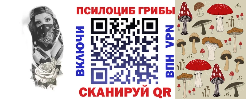 площадка состав  Строитель  Галлюциногенные грибы прущие грибы  наркота 